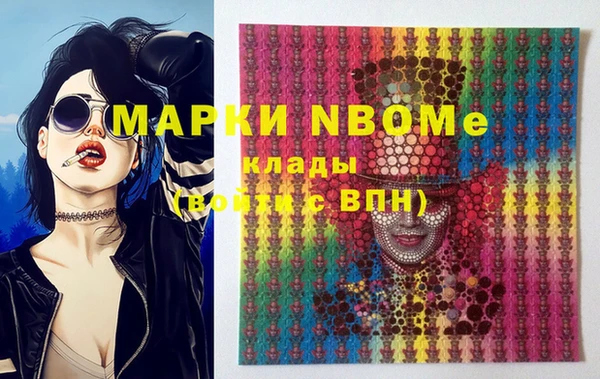 прущий лед Инсар