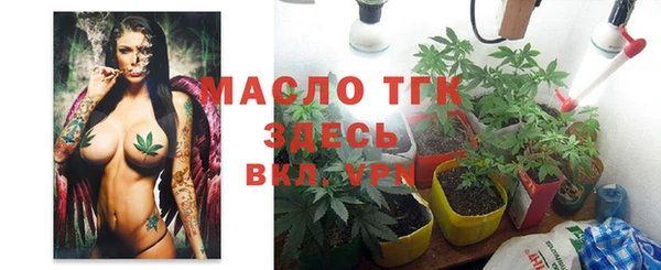 соль ск Зеленодольск