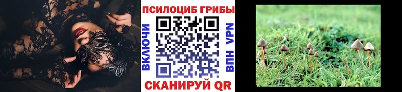 Псилоцибиновые грибы мицелий  Купить где  Бронницы 